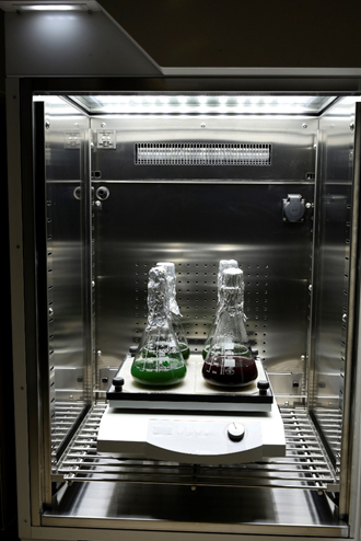 Animal Cell Culture Facility